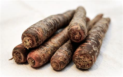 What is Scorzonera? Discover this Delicious, Little-Known Vegetable ...