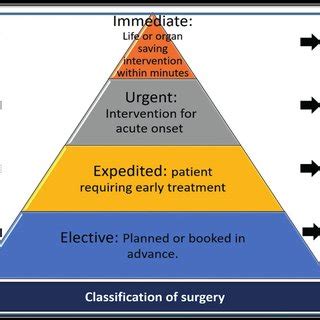 Classification of different types of ORL surgery according to its ...