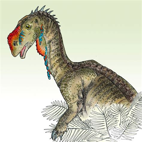 Aardonyx Pictures & Facts - The Dinosaur Database