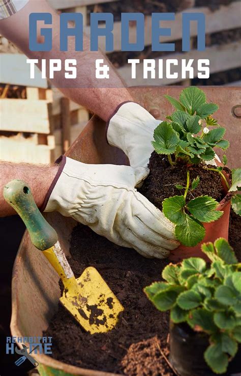 Garden Tips and Tricks