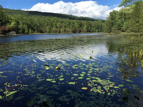 Bays Mountain Park & Planetarium - Explore Bristol