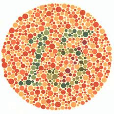 Ishihara’s Test for Colour Deficiency: 38 Plates Edition – Colblindor