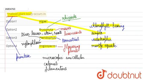 Thalloid plant body occurs in - YouTube