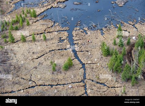 Beaver dam alberta largest hi-res stock photography and images - Alamy