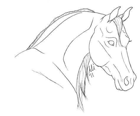 Arabian Horse Head Drawing at GetDrawings | Free download