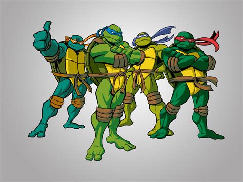 Glühen Sanft Dividende ninja turtles 2003 Immunisieren Geige Bewusstlos