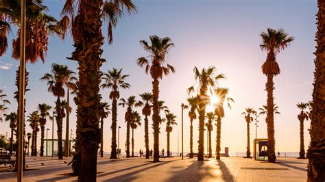 17 Best Beaches in Barcelona | Condé Nast Traveler