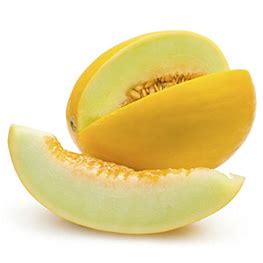 Sun Melon at Best Price in Delhi, Delhi | Frugivore Ind Pvt. Ltd.