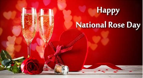 National Rose Day 2024 Quotes, Wishes, Shayari, Messages, Images