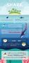 Facts Behind Shark Finning [Infographic] - Best Infographics