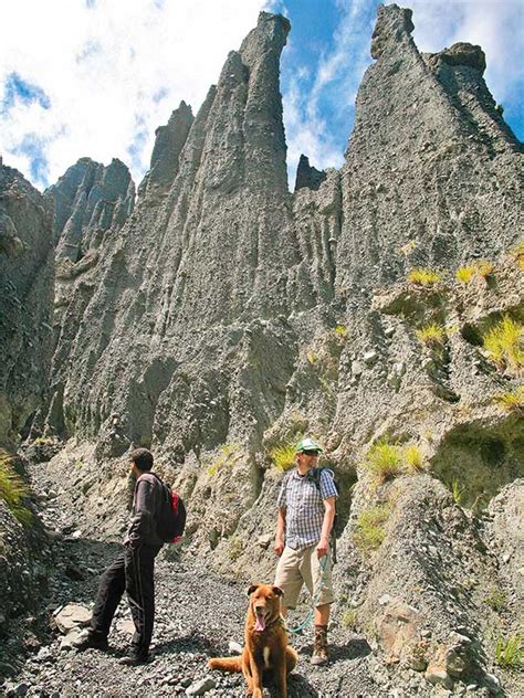 The Wairarapa Coast’s legendary landscapes… - Motorhomes, Caravans ...