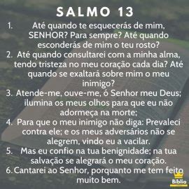 Salmo 13 → Capítulo completo para Ler, Ouvir e Imprimir