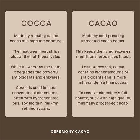 cacao vs cocoa: what's the difference? – CEREMONYCACAO