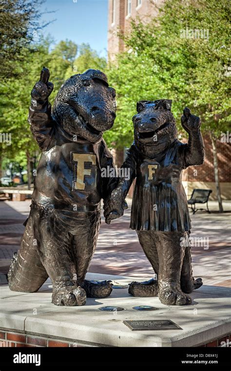 Gator mascots Albert and Alberta's bronze statues are a favorite local ...