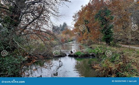 Stover Country Park Stover,Â Newton Abbot,Â Devon Stock Image - Image ...