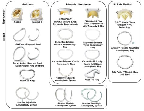 Commercially available bioprosthetic mitral valves and annular rings ...