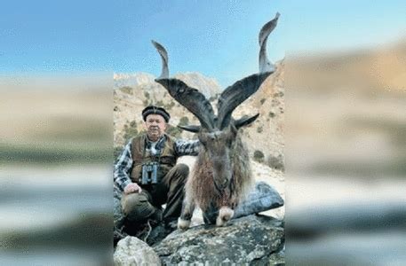 Foreigners hunt highest-rated markhors in GB - Pakistan - DAWN.COM