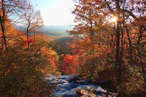 Fall in Blue Ridge | The Best Things to Do in Blue Ridge, Georgia