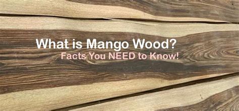 What is Mango Wood? Facts You NEED to Know!