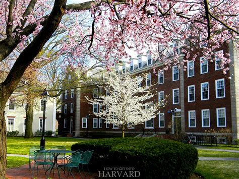 Harvard Campus Tour: 15 Best Places to Visit at Harvard - How to Get ...