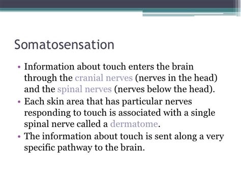 Somatosensation