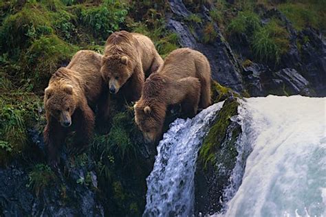 Kodiak Island travel - Lonely Planet | Alaska, USA, North America