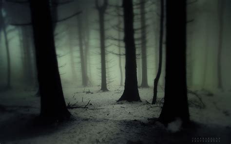 Dark Snowy Forest Wallpapers - Top Free Dark Snowy Forest Backgrounds ...