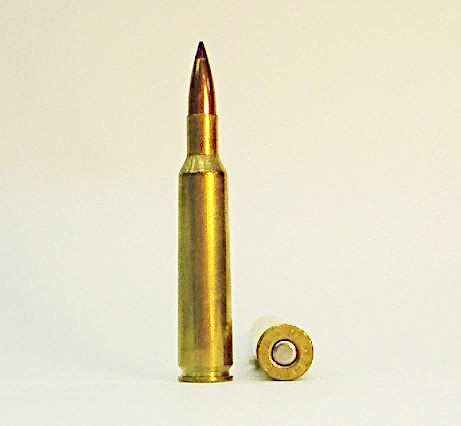 6mm Remington | Military Wiki | Fandom