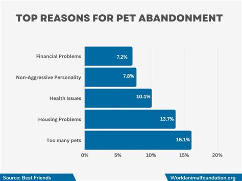 Animal Shelter Statistics - Pet Lifesaving By The Numbers!!