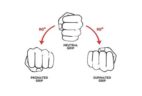 Pronated Vs Supinated-Grips │ Fitness Blog