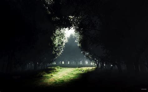 Funny Pictures Gallery: Dark forest, the dark forest, dark forest ...