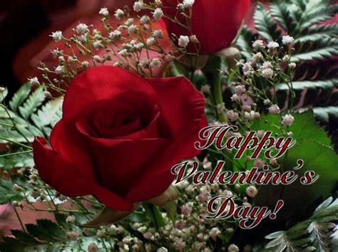 Happy Valentine's Day Rose Graphic Pictures, Photos, and Images for ...