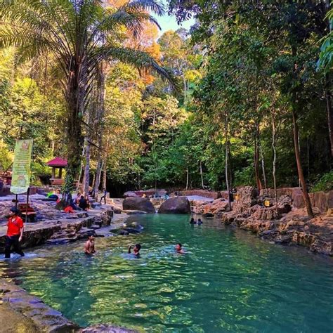 taman rimba teluk bahang chalet - Madeleine Paterson