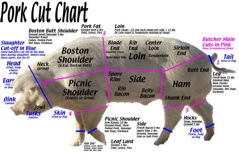 Pork Cushion Meat Diagram