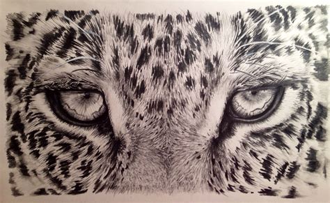 "Intimidated" Graphite pencil drawing by Julianne Bledsoe | Pencil ...