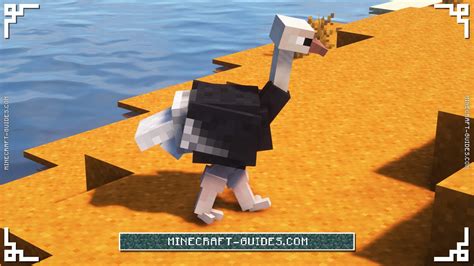 Minecraft: Exotic Birds Mod Guide & Download - Minecraft Guides Wiki