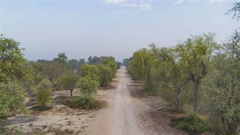 Mushrif Park to see a new50 km sand bike track