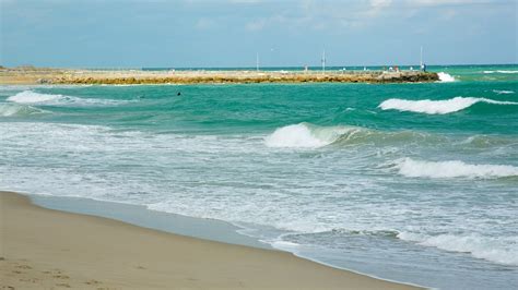 Jupiter Beach in Fort Lauderdale, Florida | Expedia