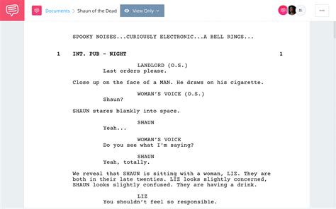 Screenplay Example — Elements & Format Explained