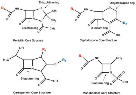 Pharmacy | Free Full-Text | Cephalosporins: A Focus on Side Chains and ...