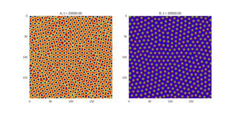 Turing Patterns