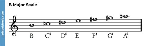 Chords in B major: A Music Theory Guide