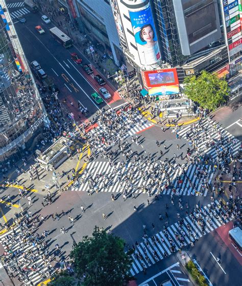 Shibuya Crossing - Chapter Travel