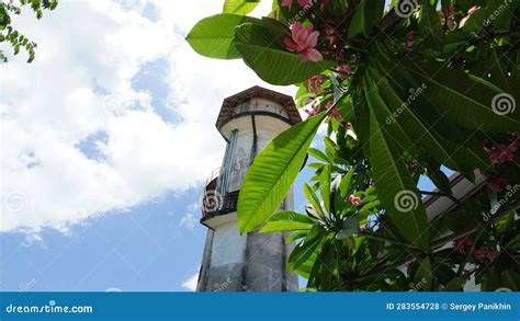 View through the Leaves of a Tree on Water Tower Stock Photo - Image of ...