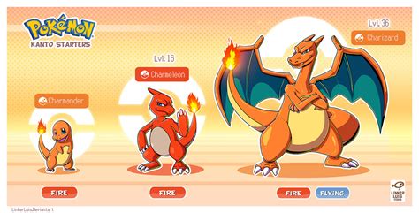 Charizard Evolution Line