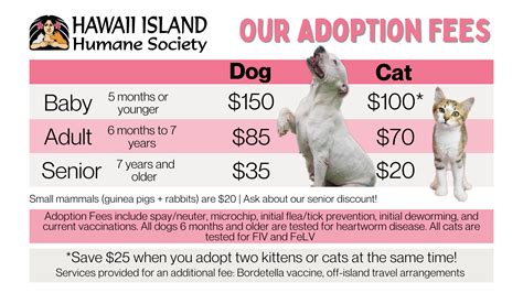 Adoption Fees