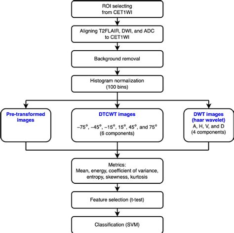 Figure 1 from The Application of DTCWT on MRI-Derived Radiomics for ...