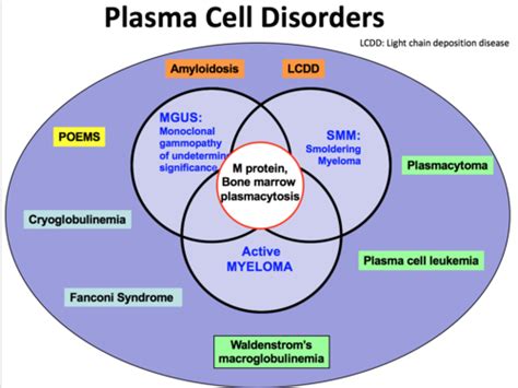 Plasma Cell Disorders Flashcards | Quizlet