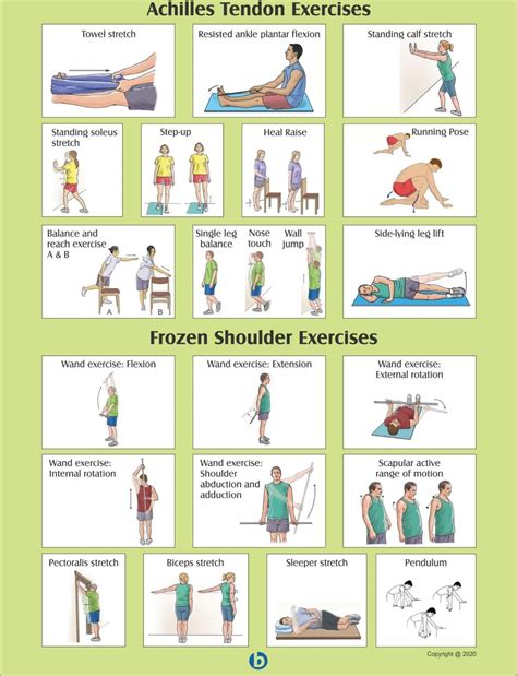 Essential Exercise for Achilles Tendon, Frozen Shoulder, Tennis Elbow ...