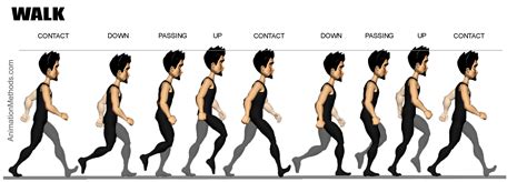 Walking Cycle #Animation | Animation walk cycle, Poses, Walking animation